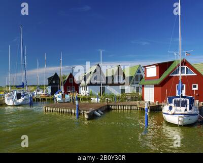 Segelboote im Hafen von Althagen bei Ahrenshoop, Fischland-Darss-Zingst, Mecklenburg-Vorpommern, Deutschland, Stockfoto