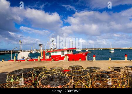 Apollo Bay Harbour entlang der Great Ocean Road in Victoria, Australien Stockfoto