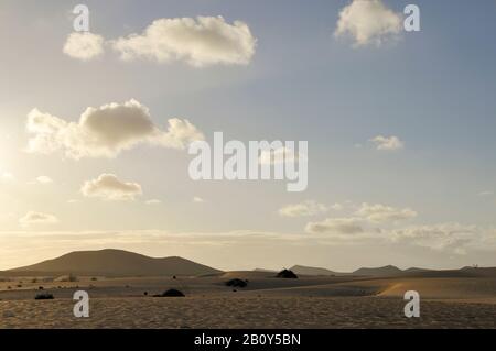 Sanddünen, Corralejo-Nationalpark, Fuerteventura, Kanarische Inseln, Spanien, Europa Stockfoto