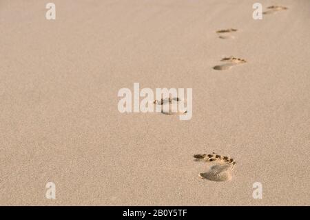 Fußabdrücke im Sand, Fuerteventura, Kanarische Inseln, Spanien, Europa Stockfoto