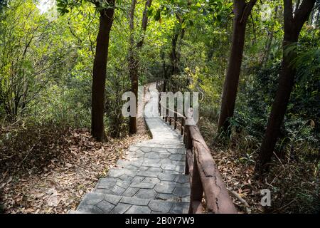 Steintreppe, Treppe, Pfad, Fußweg, Landstraße, Gasse, Gasse im Wald von Hongkong als Hintergrund, Tsing Yi Nature Trails Stockfoto