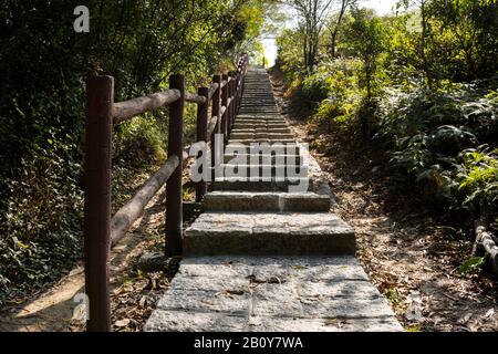 Steintreppe, Treppe, Pfad, Fußweg, Landstraße, Gasse, Gasse im Wald von Hongkong als Hintergrund, Tsing Yi Nature Trails Stockfoto