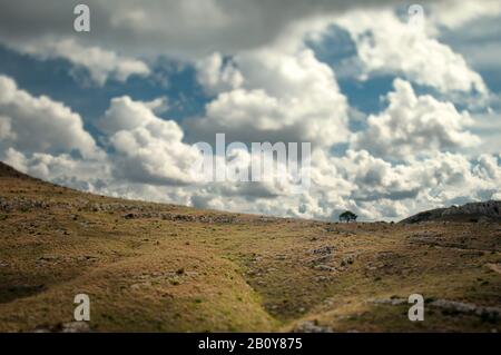 Landschaft im Naturschutzgebiet Peninsula de Llevant, Mallorca, Spanien, Stockfoto