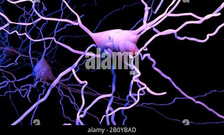 Die Nervenzellen, Abbildung Stockfoto