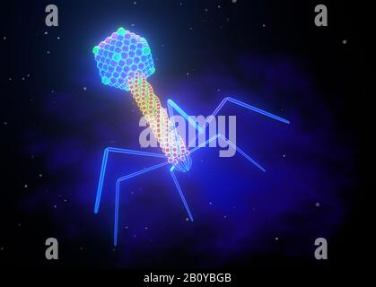Bakteriophage, Abbildung Stockfoto