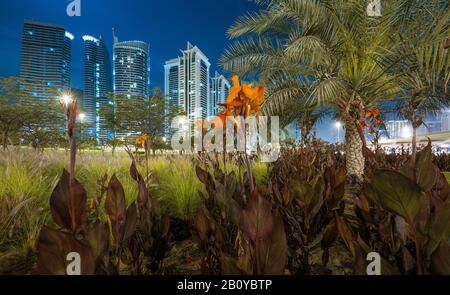 Grünfläche mit Palmen und Blumen an einem Autobahnkreuz an der Scheich Zayed Road mit Blick auf die Hochhäuser in Jumeirah Lakes Towers (JLT) nachts, New Dubai, Vereinigte Arabische Emirate, Stockfoto