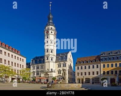 Marktplatz mit Rathaus und Simsonbrunnen in Gera-Thüringen, Deutschland, Stockfoto