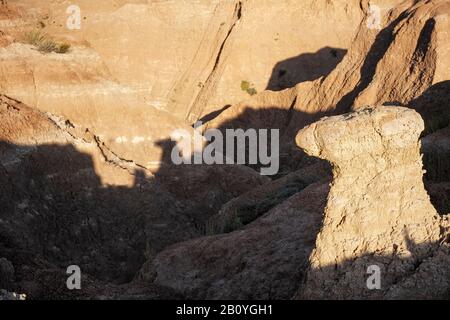 SD00179-00...SOUTH DAKOTA - EINE Felsformation vom Typ Toadstool im Badlands National Park. Stockfoto