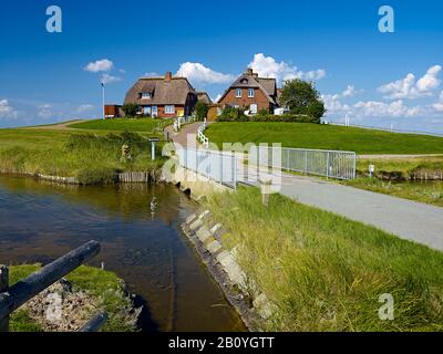 Westerwarft auf Hallig Hooge, Nordfriesland, Schleswig-Holstein, Deutschland, Stockfoto