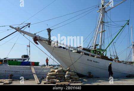 Phinisi Schiffe im Paotere Hafen, Makassar, Sulawesi, Indonesaia. Stockfoto