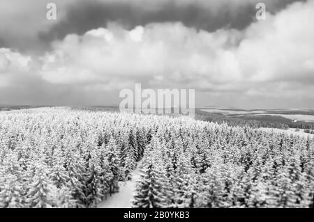 Blick vom Aussichtsturm Rennsteigwarte auf Eselsberg, Masserberg, Landkreis Hildburghausen, Thüringen, Deutschland, Stockfoto