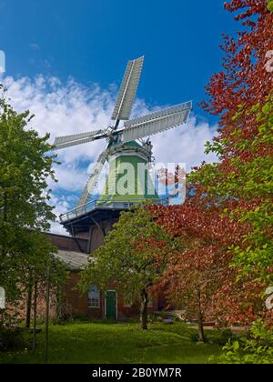 Windmühle Vers Amica in Twielenfleth-Lühe, Altes Land, Landkreis Stade, Niedersachsen, Deutschland, Stockfoto