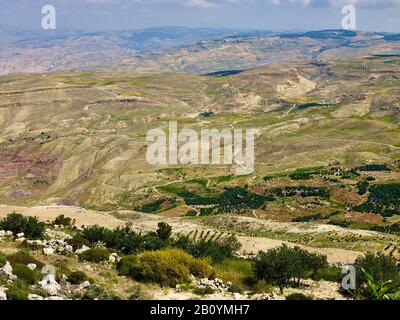 Landschaft am Berg Nebo, Jordanien, Naher Osten, Stockfoto