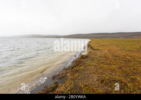 Island Landschaft. Thrihyrningsvatn Lakeshore, Zentral-Island. Isländische Landschaft Stockfoto