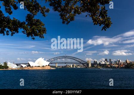 Der Blick von Mrs. Macquaries Zeigt auf die Skyline mit der Harbour Bridge und dem Opernhaus, Sydney, Australien Stockfoto