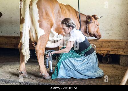 Bäuerin mit Dirndl Milch einer Kuh Stockfoto