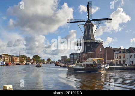 Adriaan Windmühle in Haarlem, Nord Holland, Niederlande Stockfoto