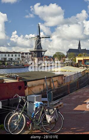 Adriaan Windmühle mit Hausboot in Haarlem, Nord Holland, Niederlande Stockfoto