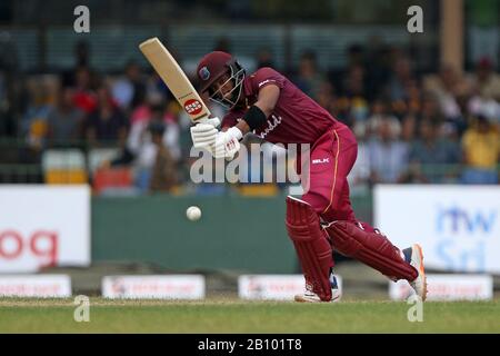 Colombo, Sri Lanka. Februar 2020. Der Singhalese Sports Club Cricket Ground, Colombo, Sri Lanka; Eines Tages International Cricket, Sri Lanka gegen West Indies; Shai Hope treibt den Ball an. Gutschrift: Action Plus Sports Images/Alamy Live News Stockfoto