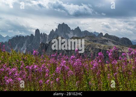 Cadini-Gruppe, Nationalpark Drei Gipfel, Berge, Südtirol, Italien Stockfoto