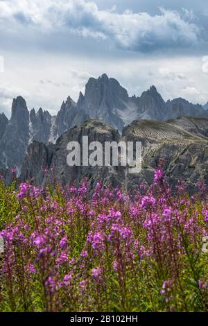 Cadini-Gruppe, Nationalpark Drei Gipfel, Berge, Südtirol, Italien Stockfoto