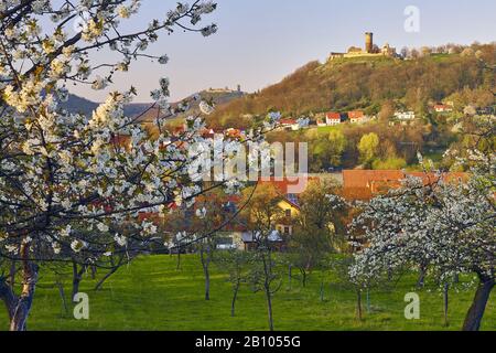 Kirschblüte am Mühlberg mit Burg gleichen und Mühlburg, drei gleichen, Thüringen Deutschland Stockfoto