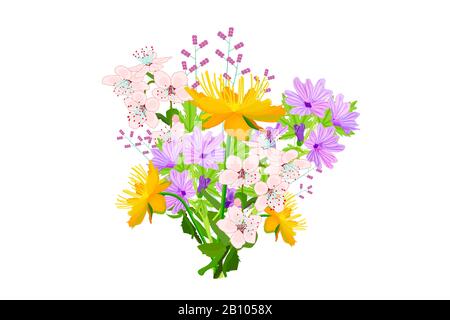 Blumenstrauß isoliert auf weißem Grund. Frühlingsblumen für den internationalen Tag der Frauen, Hochzeit oder Muttertag Grußkarten, Drucke, Urlaub.Vector Stock Vektor