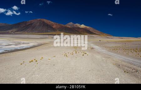 Atacama-Wüste, Chile Stockfoto