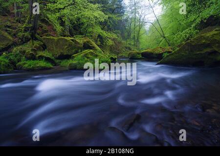 Quellbach, Edmundsklamm, Böhmische Schweiz, Tschechien Stockfoto