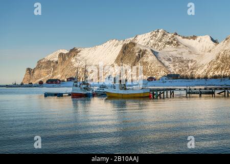 , Mefjord Senjahopen, Fischerboote, Senja, Norwegen Stockfoto