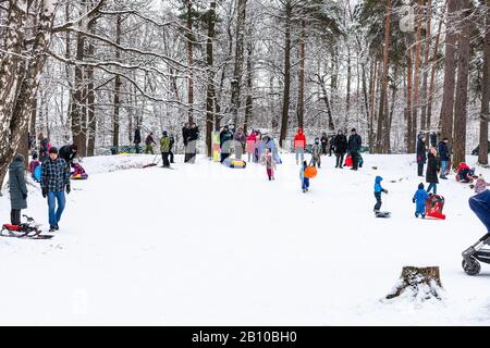 Moskau, RUSSLAND - 12. JANUAR 2020: Menschen wandern und spielen im Winter auf schneebedeckten Hügeln im Timiryazevski-Park. Der Timiryazevsky Park ist Wald im Nor Stockfoto