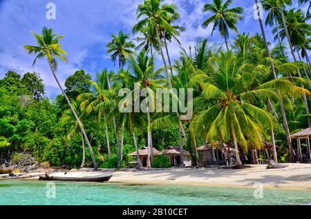 Strand mit Palmen, Malenge Island, Tomini Bay, Togian Islands, Sulawesi, Indonesien Stockfoto