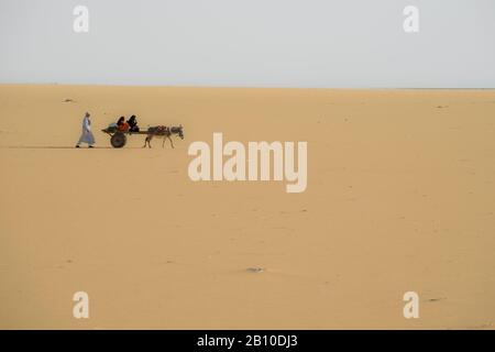 Eine Familie reitet auf einem Eselskarren durch die Wüste Sahara, Ägypten Stockfoto