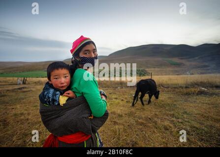 Die tibetische Mutter trägt ihren Sohn in einem Tuch auf dem Feld, dem tibetischen Plateau, der Provinz Gansu, China Stockfoto