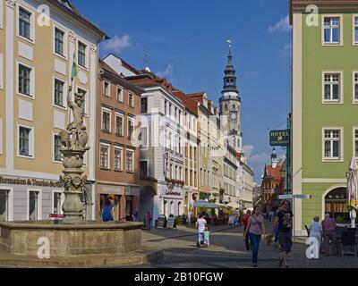 Rolandbrunnen an der Brüderstraße mit Turm des alten Rathauses in der Altstadt von Goerlitz, Sachsen, Deutschland Stockfoto