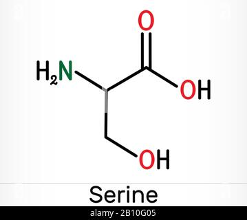 Serin, Ser-Aminosäure-Molekül. Es wird bei der Biosynthese von Proteinen verwendet. Skelettchemische Formel. Abbildung Stockfoto