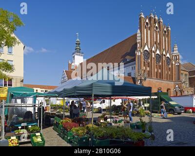 Grüner Markt mit Rathaus am Markt in Frankfurt (oder), Brandenburg, Deutschland Stockfoto