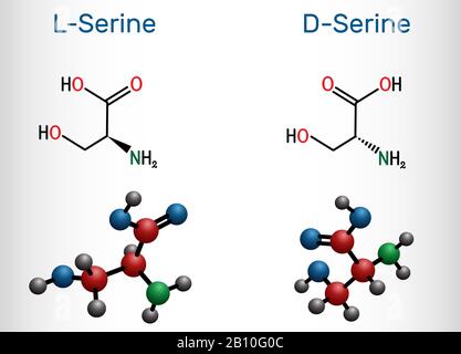 Stereoisomere von Serin. D-Serin- und L-Serin-Aminosäure-Molekül. Strukturelle chemische Formel und Molekularmodell. Vektorgrafiken Stock Vektor