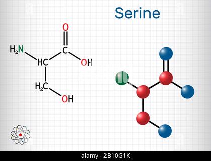 Serin, Ser-Aminosäure-Molekül. Es wird bei der Biosynthese von Proteinen verwendet. Strukturelle chemische Formel und Molekularmodell. Blatt Papier in einem Käfig. Stock Vektor