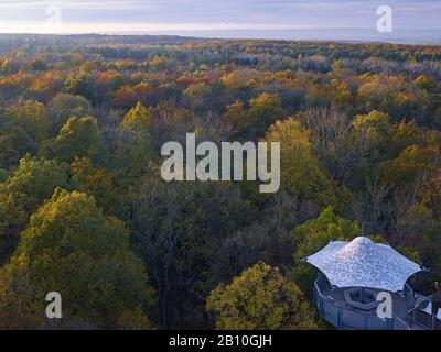 Blick über den Hainich vom Baumwipfelpfad im Nationalpark, Thüringen, Deutschland Stockfoto