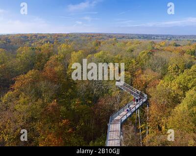 Blick über den Hainich vom Baumwipfelpfad im Nationalpark, Thüringen, Deutschland Stockfoto