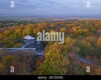 Blick über den Hainich vom Baumwipfelpfad im Nationalpark, Thüringen, Deutschland Stockfoto