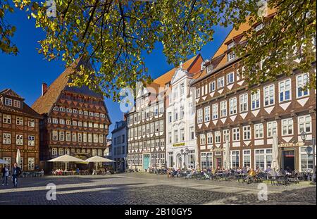 Markt in Hildesheim mit Knochenhauseramtshaus, Stadtschänke, Wollenwebergildehaus, Niedersachsen, Deutschland Stockfoto