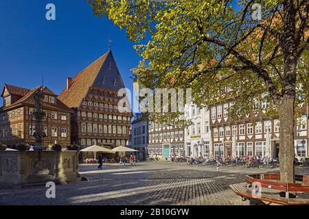 Markt in Hildesheim mit Knochenhauseramtshaus, Stadtschänke, Wollenwebergildehaus, Niedersachsen, Deutschland Stockfoto