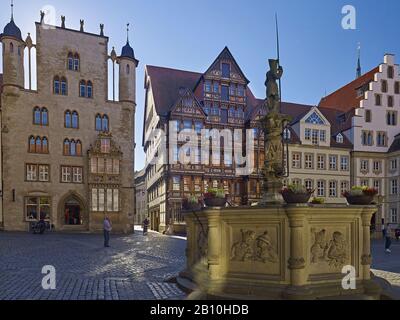 Tempelhaus und Wedekindhaus mit Springbrunnen am Markt in Hildesheim, Niedersachsen, Deutschland Stockfoto