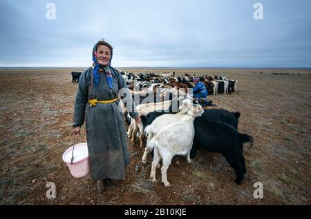 Mongolische Nomaden melken Ziegen in der Wüste Gobi, in der Mongolei Stockfoto