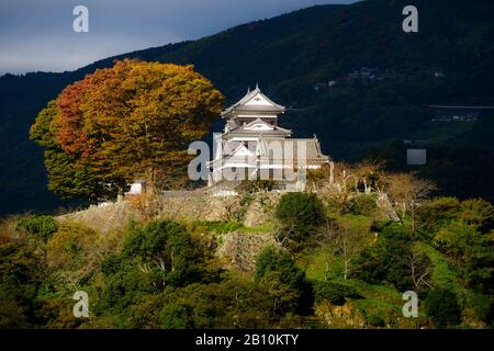 Burg Kumamoto im Herbst, Insel Kyushu, Japan Stockfoto