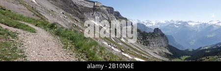 Panoramablick auf die Berge der Alpen und üppige Vegetation im Sommer mit Schneebergen im Hintergrund. Perfekter blauer Himmel auf schynige Platte. Stockfoto