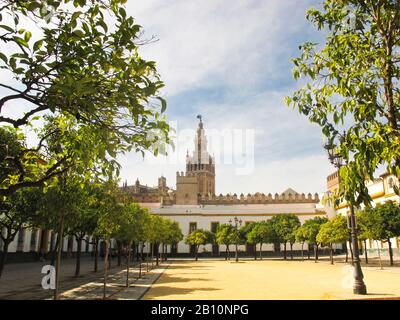 La Giralda von Patio de las Banderas. Real Alcazar. Sevilla. Andalusien. Spanien Stockfoto