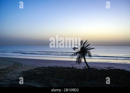 Naturlandschaft des Rizhao Renjiatai Seashore Reef Park in Shandong, China Stockfoto